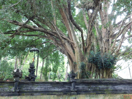 Pura Tirta Empul, Baliの写真素材