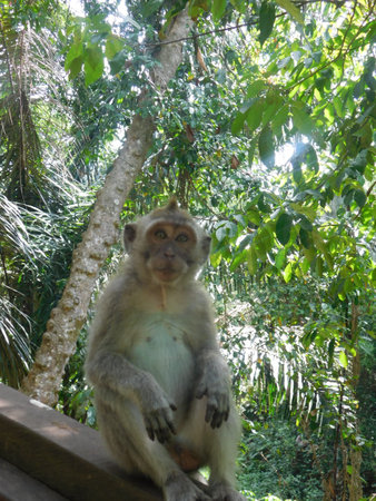 Ubud, Bali