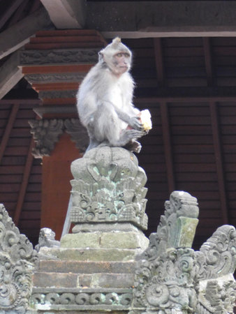 Ubud, Bali