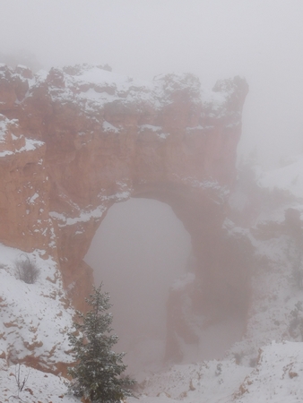 Bryce Canyon National Parkの写真素材