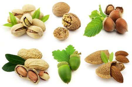 various isolated nuts with realistic drop shadows for depth on white backgroundの写真素材