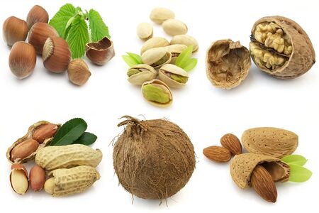 various isolated nuts with realistic drop shadows for depth on white backgroundの写真素材