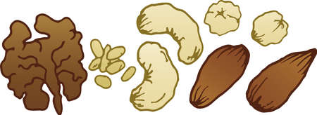 A set of illustrations of nuts without shells with an outline. Walnuts, cashews, almonds, hazelnuts, pine nuts, eps ready to use. For your designのイラスト素材
