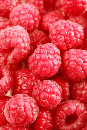 Raspberries backgroundの写真素材