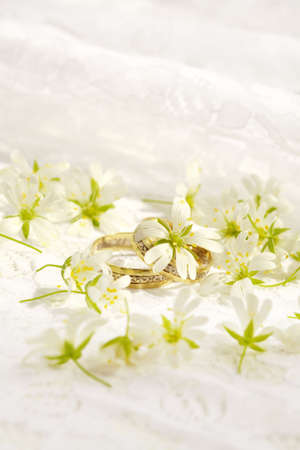 Wedding still-life with accessories of the bride の写真素材