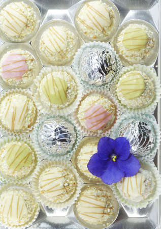 Delicious pralines in fresh bright colorsの写真素材