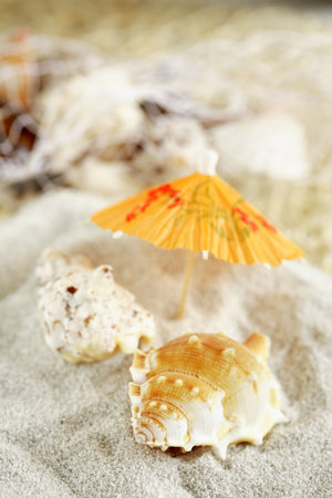 Still life - summer holiday detailの写真素材