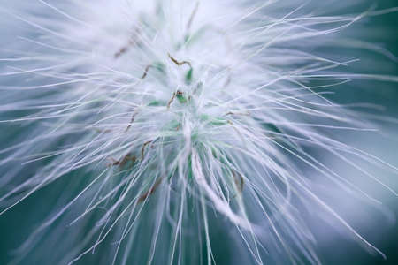 New dimension - abstract grassの写真素材