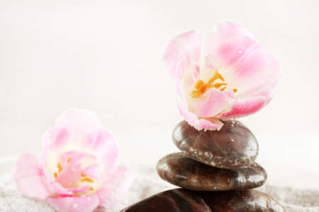 Nature element - sand, flowers and stonesの写真素材