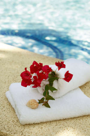 Holidayの写真素材