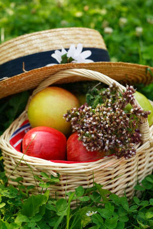 Basket with apples and herbsの写真素材