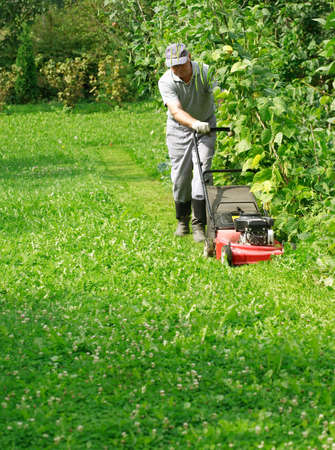 Gardening - cutting the grassの写真素材