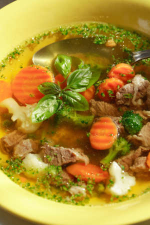 Delicious vegetable soup with meatの写真素材