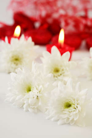  and tender Valentineの写真素材