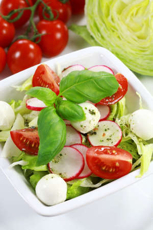 Vegetable saladの写真素材