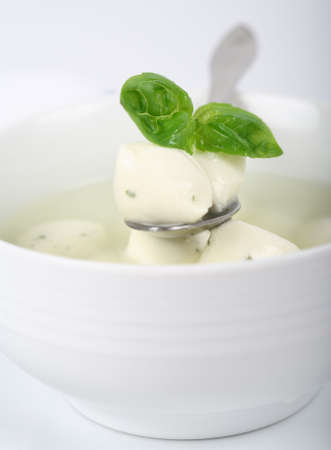 Mozzarella with basil on the plateの写真素材