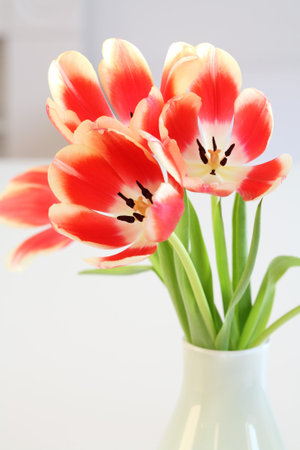 Tulips in the vase for Easterの写真素材