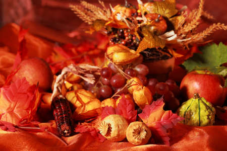 Still life and harvest or table decoration for Thanksgivingの写真素材
