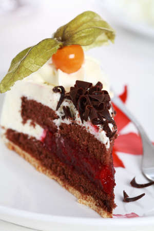 Piece of delicious sweet cake garnished with fruistの写真素材