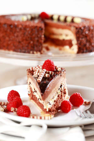 Delicious chocolate cake garnished with fruits and small chocolate rollsの写真素材