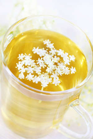 Healthy and delicious elder flower tea or lemonadeの写真素材