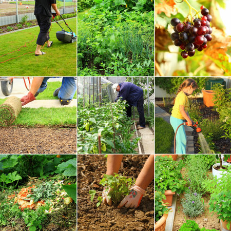 Collection of garden images - composting, cutting grass, watering, の写真素材