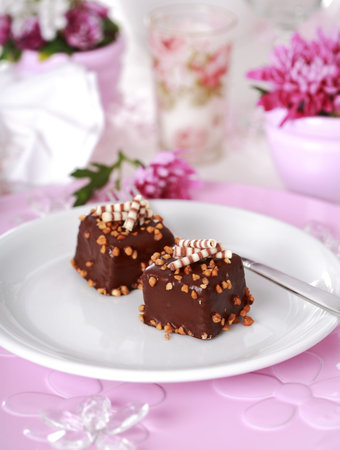 Two delicious brownies on the plateの写真素材