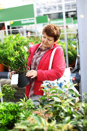 Senior woman buying plants for the gardenの写真素材