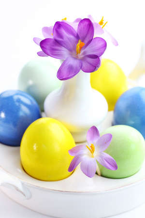 Beautiful Crocuses for Easter and eggsの写真素材