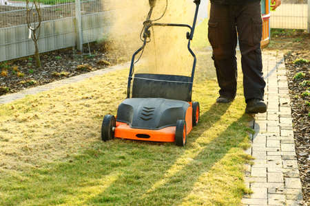 Using a scarifier to improving quality of the lawnの写真素材