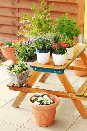Outdoor flower pots for small garden, patio or terraceの写真素材