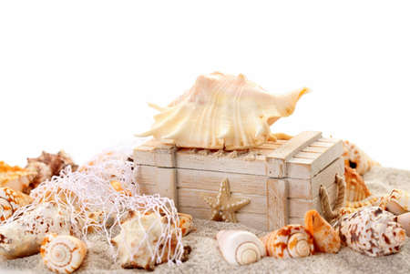 Seashells and treasure chest - concept of holiday, beach and summerの写真素材