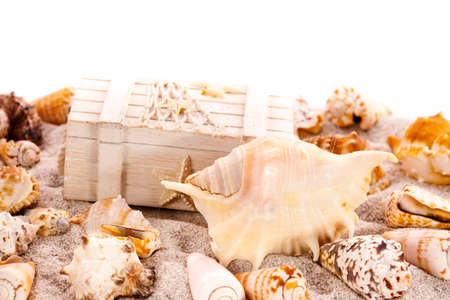 Background with seashells and treasure chest with copy spaceの写真素材