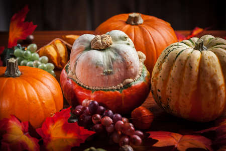 Traditional pumpkins for Thanksgiving and  Halloween in warm colorsの写真素材