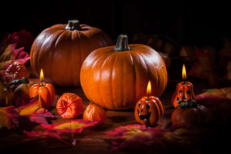 Traditional pumpkins for Thanksgiving and  Halloweenの写真素材