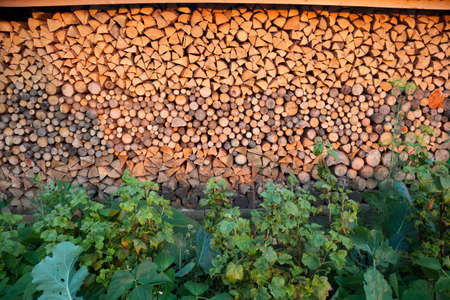 Pile of wood logs ready for winter in the gardenの写真素材
