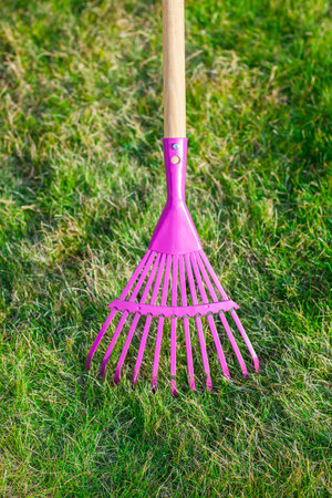 Gardening - cleaning green lawn by rakeの写真素材