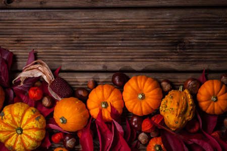 Autumn border with pumpkins and copy space for Thanksgiving and Halloweenの写真素材