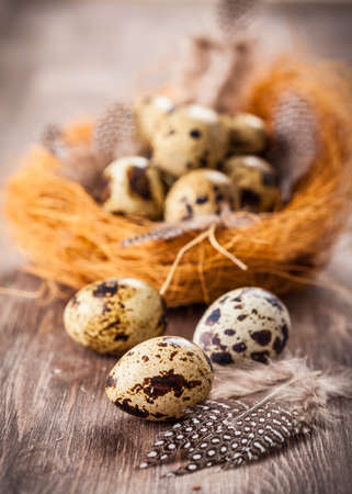 Easter eggs with nest on wooden background in vintage styleの写真素材