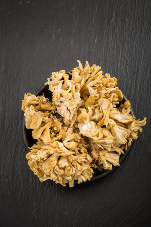 Maitake - Hen of the woods, edible mushroomの写真素材