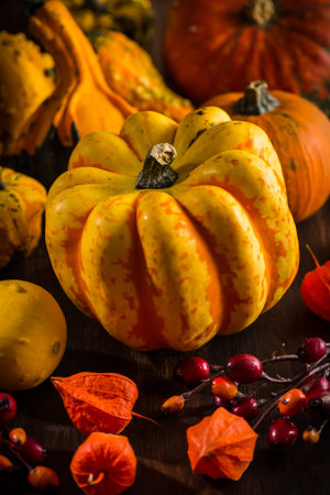 Traditional pumpkins for Thanksgiving in warm colors