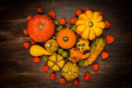 Assorted pumpkins for Thanksgiving and Halloweenin heart shape