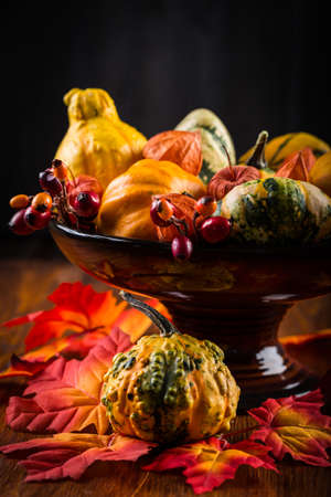 Thanksgiving and Halloween pumpkinsの写真素材