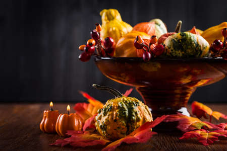 Thanksgiving and Halloween pumpkinsの写真素材