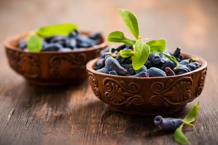 Delicious and healthy honeyberry (lonicera) in the bowlの写真素材