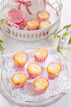 Small curd cheese muffins or cupcakesの写真素材