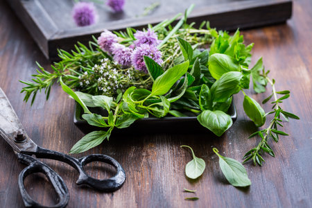 Bunch of different herbs for cooking on wooden background