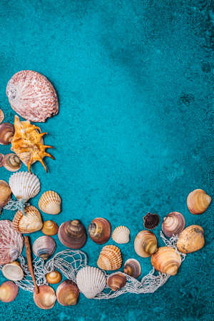 Summer beach background frame, seashells on cyan background. Collection of seashells.の写真素材
