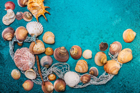 Summer beach background frame, seashells on cyan background. Collection of seashells.の写真素材