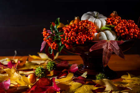 Autumn still life with colorful leaves and autumn deco fruits on black background for Thanksgivingの写真素材